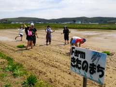 taue2013.5.25